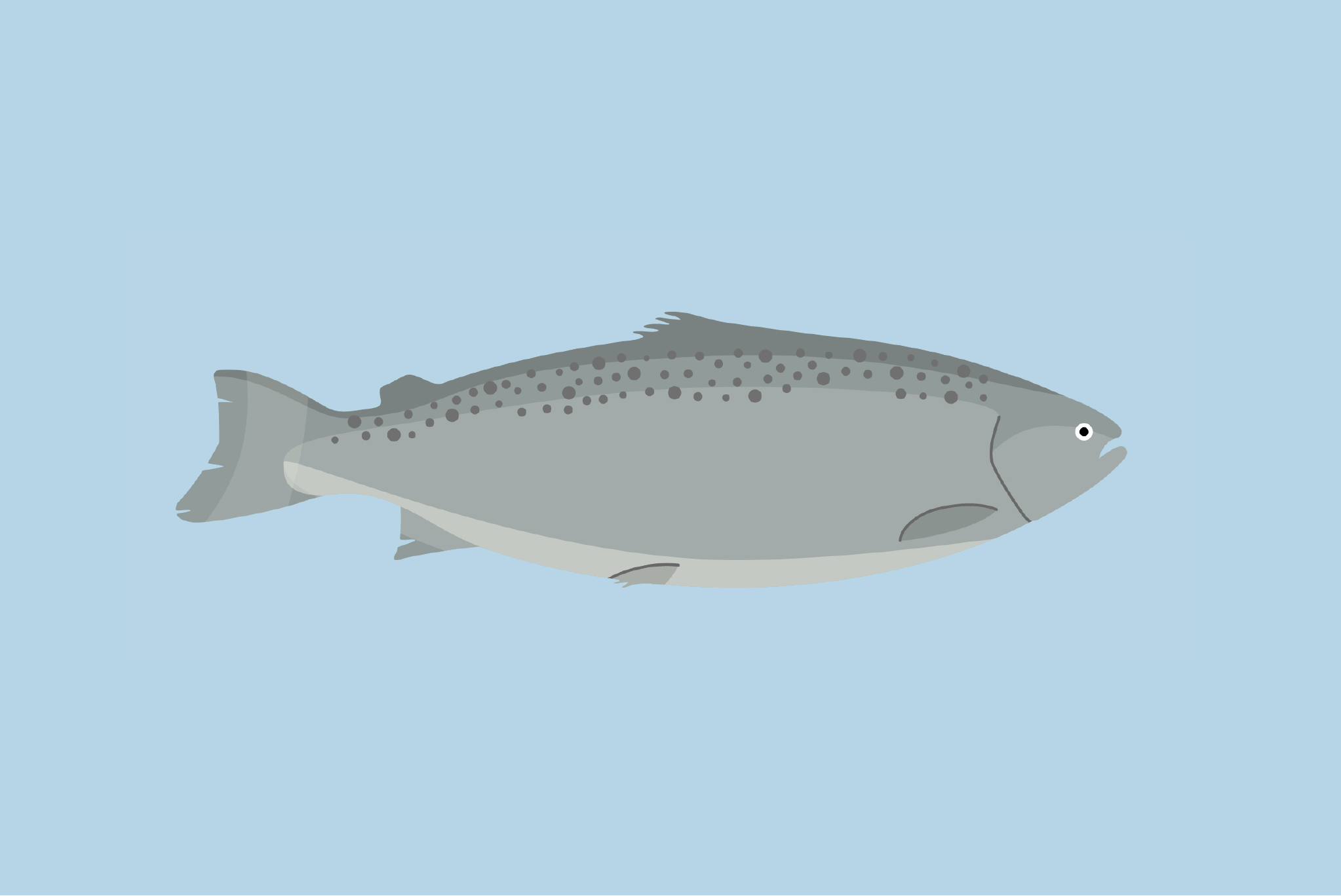 Bilde av grafikk tegnet for animasjonsfilmen med fisk