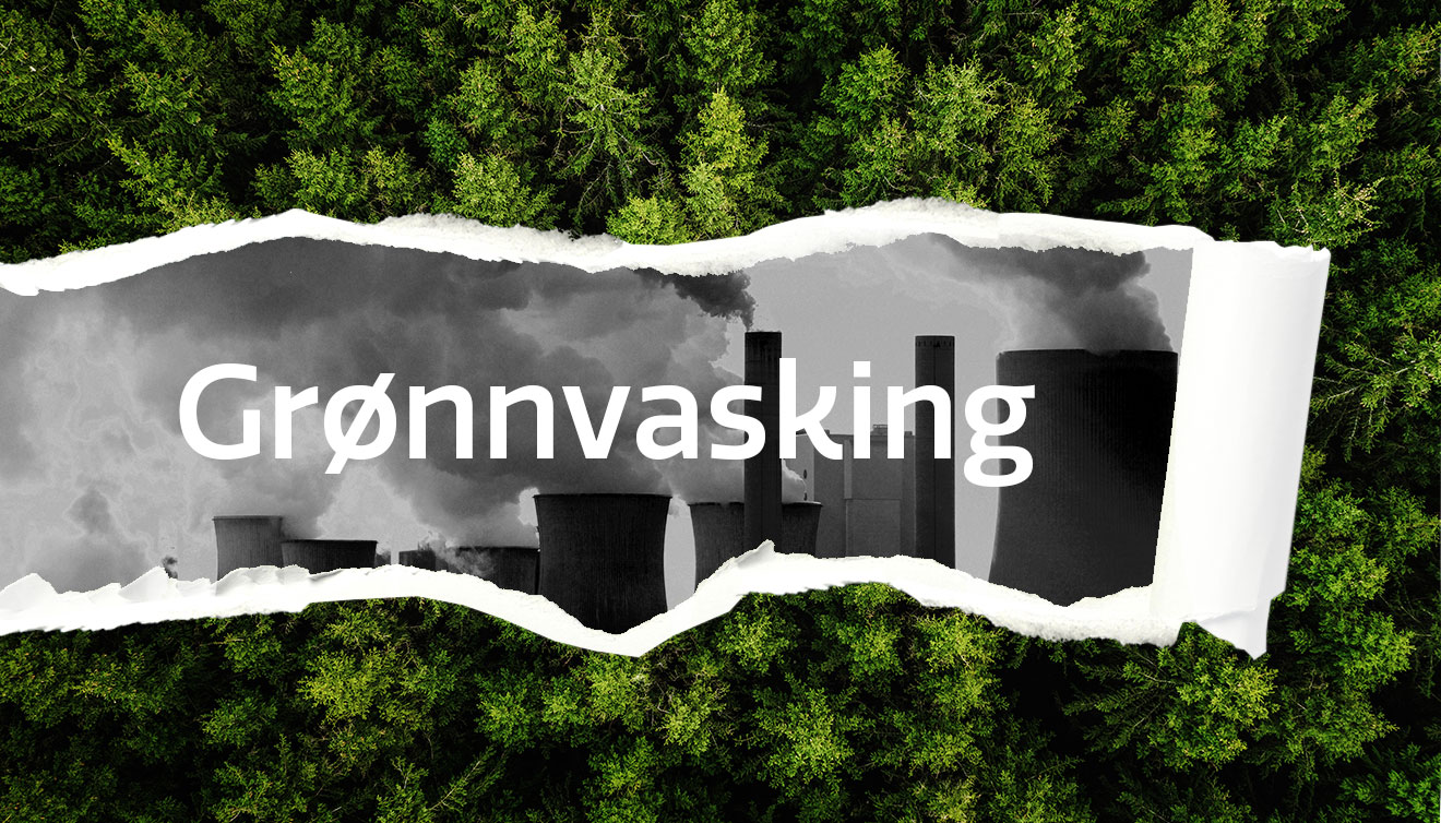 Skog med revet lapp som viser forurensning. Dette skal illustrere grønnvasking