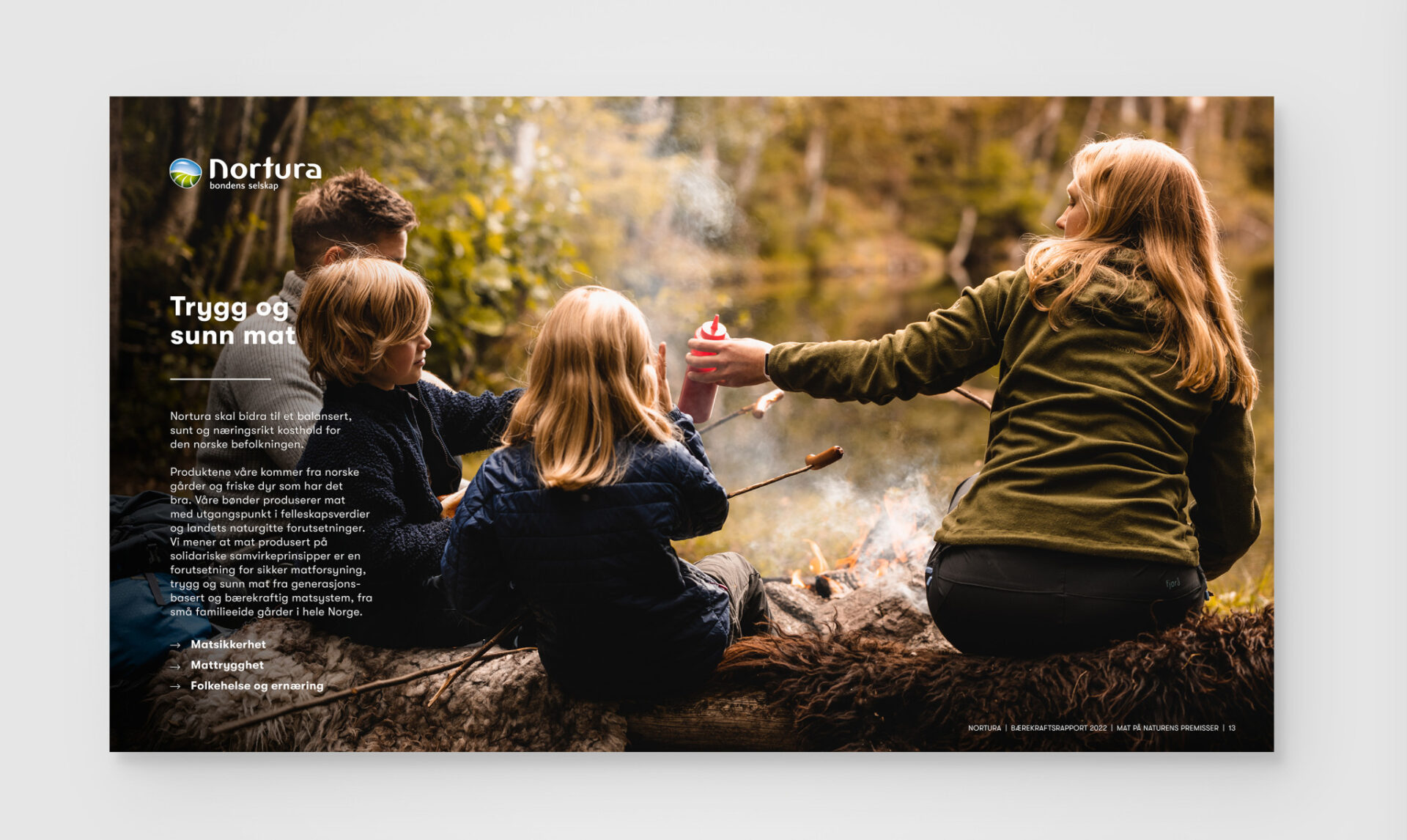Kapittelside fra Norturas bærekraftsrapport om trygg og sunn mat, med en familie som griller pølser på bål i skogen.