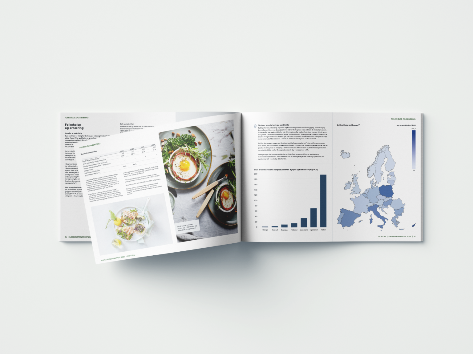 Oppslag om folkehelse og ernæring, med matbilder, diagram og europakart over antibiotikabruk.