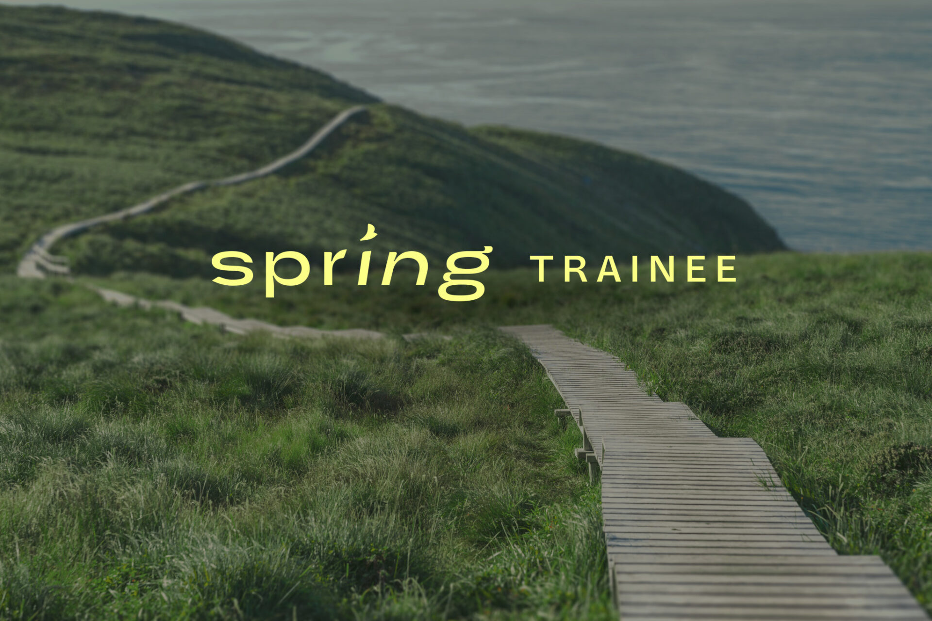 Spring Trainee-logo over bilde av et kystlandskap.