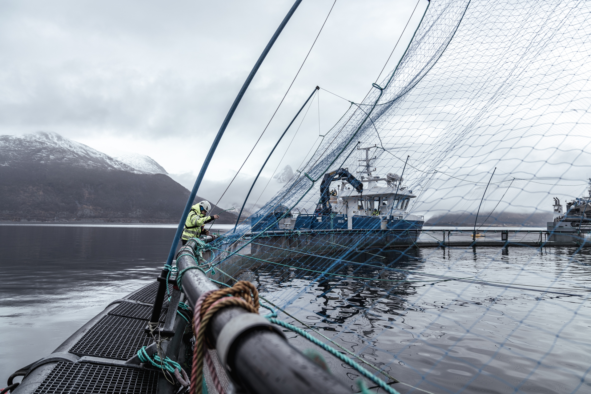 Foto av en arbeider på fiskeoppdrettet
