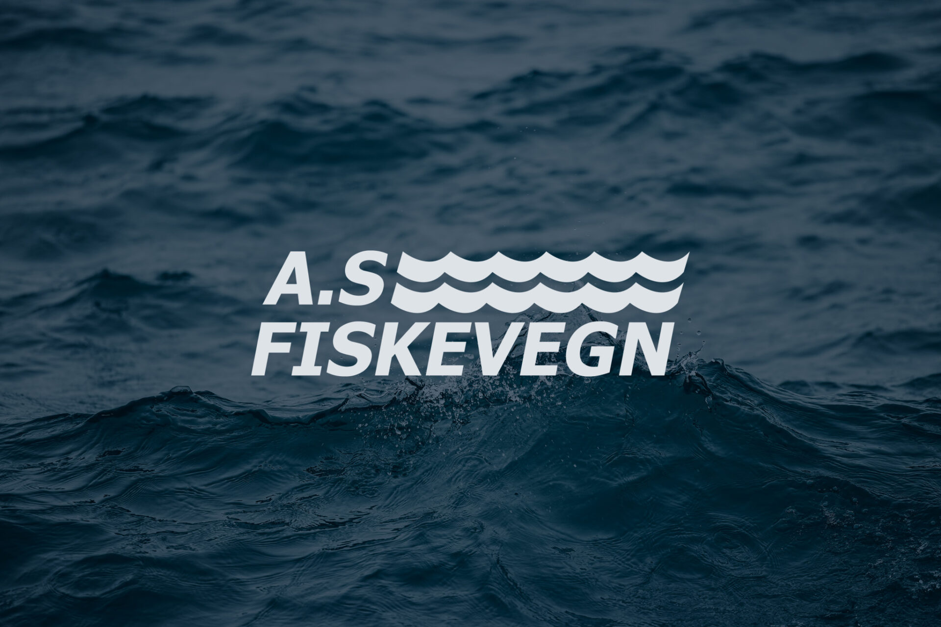 Fiskevegns logo i hvitt over et mørkt bilde av bølger på havet.