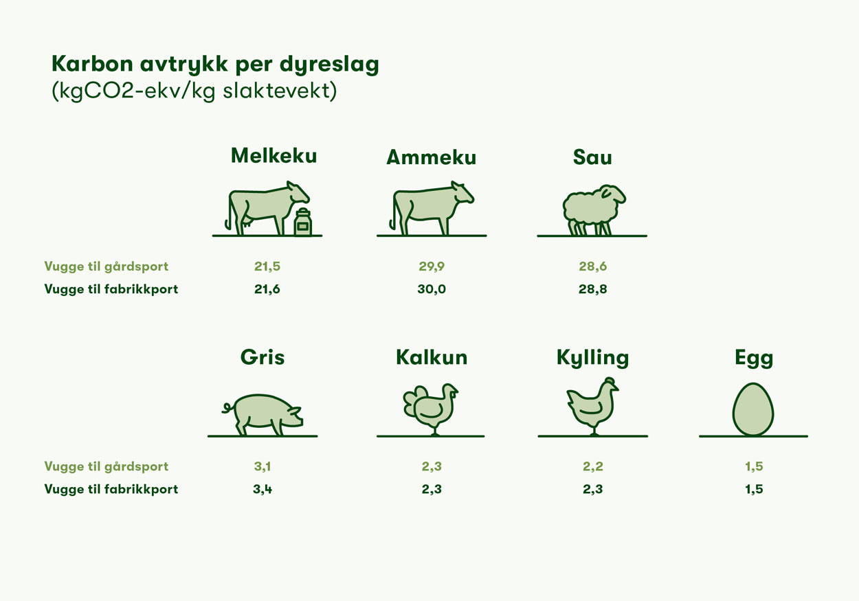 karbonavtrykk per dyreslag