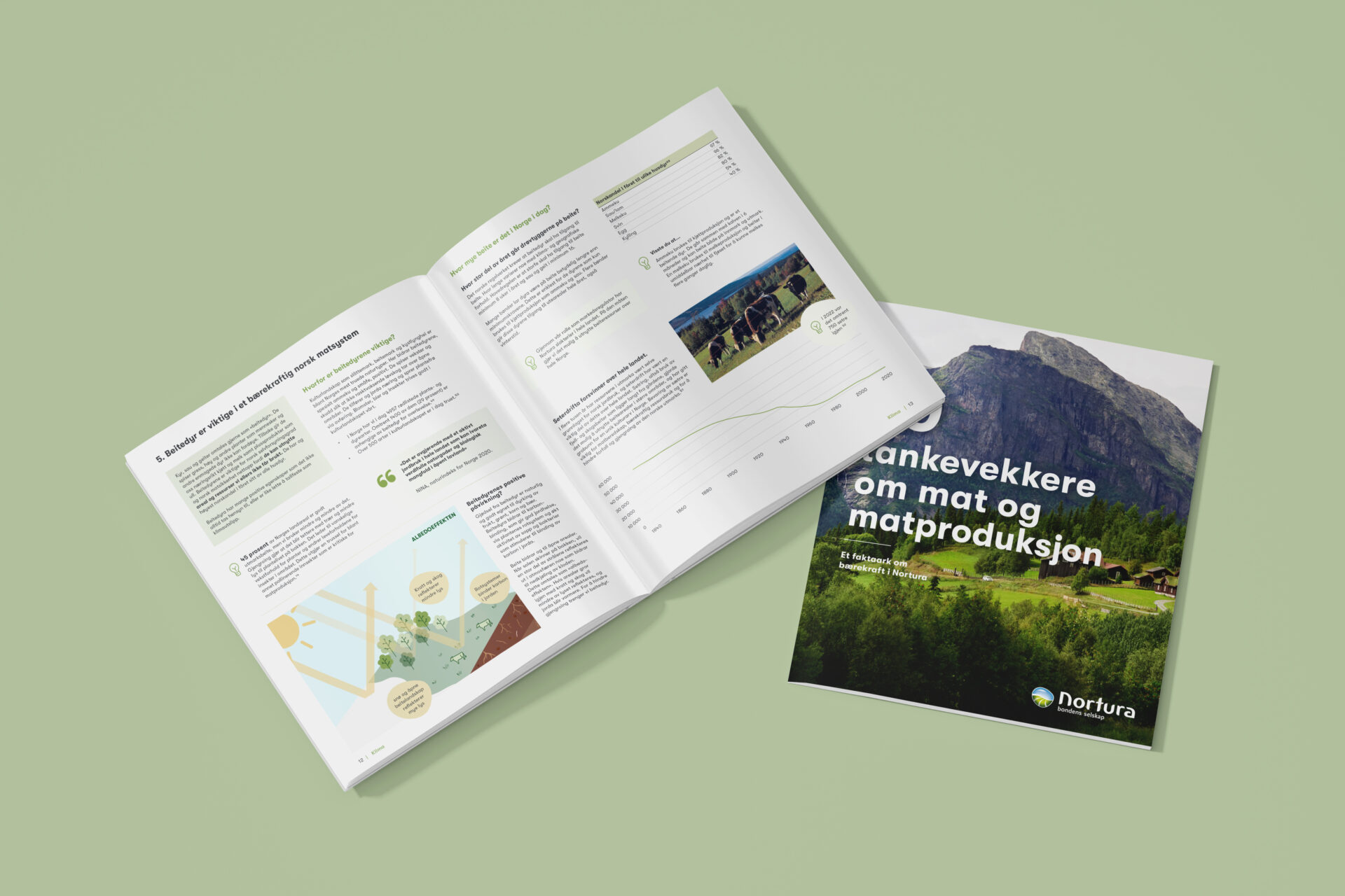 Nortura brosjyre om mat og matproduksjon
