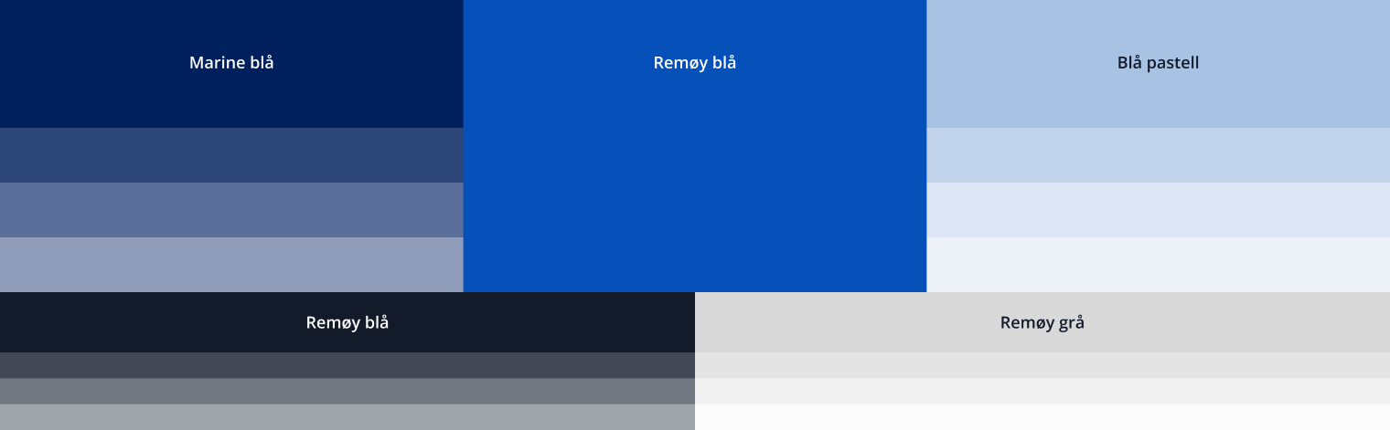 Remøy management profil farger
