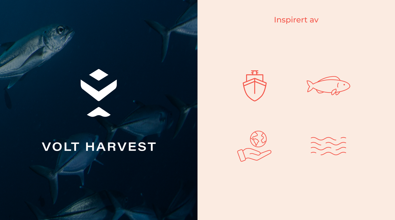 Volt Harvest logo og visuell profil